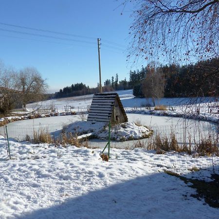 Wellnesshotel Schiesselhof Grafenhausen Dış mekan fotoğraf
