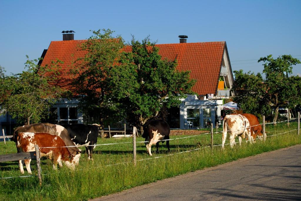 Wellnesshotel Schiesselhof Grafenhausen Oda fotoğraf