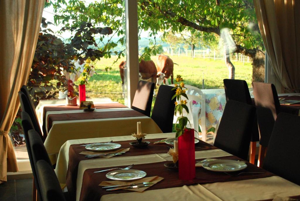 Wellnesshotel Schiesselhof Grafenhausen Oda fotoğraf