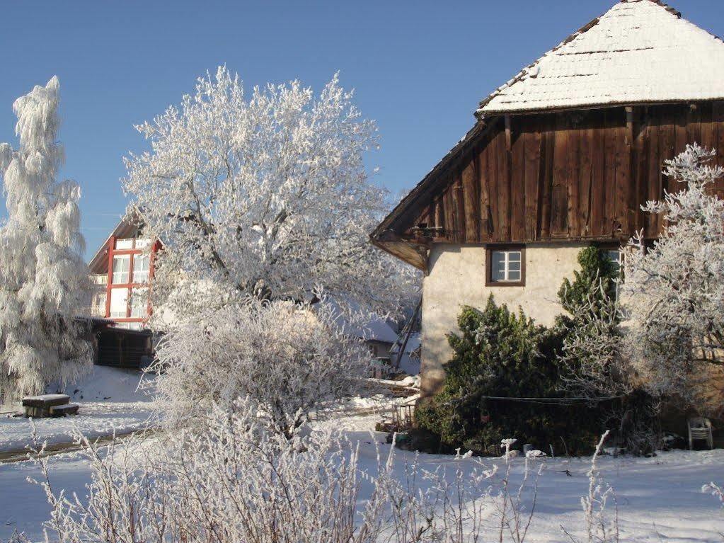 Wellnesshotel Schiesselhof Grafenhausen Dış mekan fotoğraf